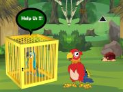 Jeu Libération Buddy macaw piégé en ligne