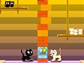 Jeu Kocani chats en ligne Jeu Kocani chats en ligne