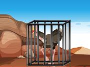 Jeu Quête clé de l'émeu en ligne