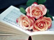 Jeu Book of Blooms Sawsaw en ligne