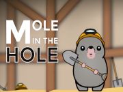Jeu Taupe dans le trou en ligne