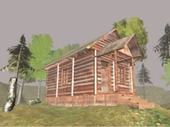 Jeu Survive In The Forest en ligne