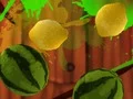 Jeu Fruit Break en ligne