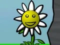 Jeu Flower Power en ligne