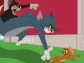 Jeu Tom and Jerry: Chasing Jerry en ligne