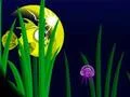Jeu Flash Fish Freddie en ligne