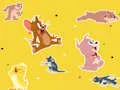 Jeu The Tom and Jerry Show Find it! en ligne