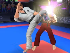 Jeu Karate Fighter en ligne