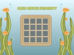 Jeu Card Match Serenity en ligne