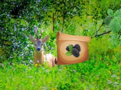 Jeu Return To Alsunga Forest en ligne