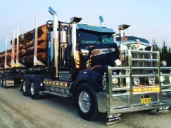 Jeu American City Truck Transporting en ligne