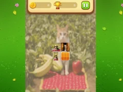 Jeu Farm Cat Memory Match en ligne