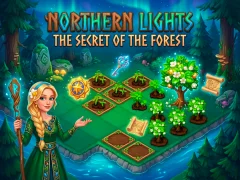 Jeu Northern Lights - The Secret Of The Forest en ligne