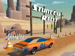 Jeu Stunt car Races en ligne
