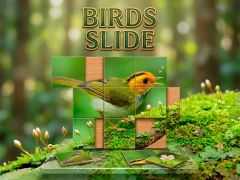 Jeu Birds Slide en ligne