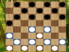 Jeu Classic Checkers: Forest en ligne