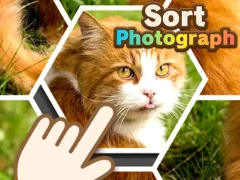 Jeu Sort Photograph en ligne
