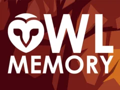 Jeu Owl Memory en ligne