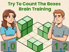 Jeu Try To Count The Boxes Brain Training en ligne