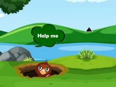 Jeu Help Injured Bird Fallen Down en ligne