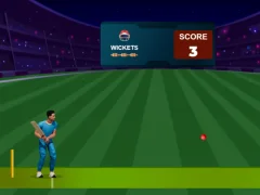 Jeu Cricket Night 2 en ligne