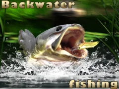 Jeu Backwater Fishing en ligne