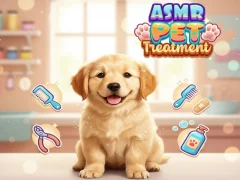 Jeu Asmr Pet Treatment en ligne