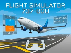 Jeu Flight Simulator 737-800 en ligne