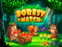 Jeu Forest Match en ligne