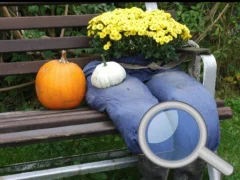 Jeu Autumn Garden Find 100 butterflies en ligne