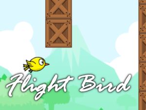 Jeu Oiseau de vol en ligne