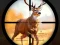 Jeu Wild Hunting Clash en ligne