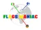Jeu Flags Maniac en ligne