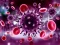 Jeu Coronavirus Puzzle en ligne