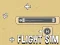 Jeu Flight Sim en ligne