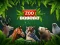 Jeu ZOO Trivia en ligne
