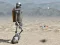 Jeu Automaton 2015 en ligne