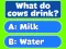 Jeu Trivia! Best Family Quiz en ligne