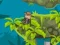 Jeu Indi Cannon Players Pack en ligne