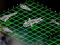 Jeu Intergalactic Battleships en ligne