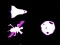 Jeu Rescate Espacial en ligne