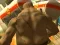 Jeu Monster Simulator en ligne