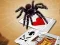 Jeu Jumping Spider en ligne