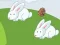 Jeu Crazy Eggs en ligne
