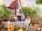 Jeu Taste the Tradition en ligne
