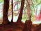 Jeu Hidden Stars en ligne