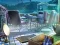 Jeu The Mysterious Creatures en ligne