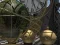 Jeu Planetarium en ligne
