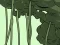 Jeu Abandoned the Forest en ligne