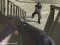 Jeu Western:Invasion en ligne